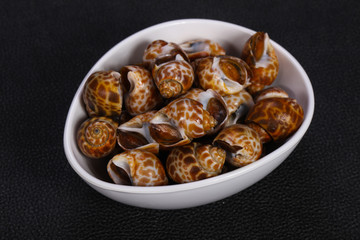 Tasty mollusk - spotted Babylon in the bowl