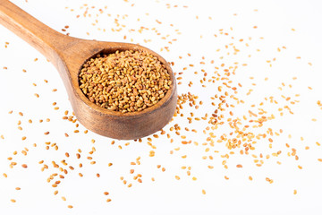 Organic Alfalfa Seeds - Medicago sativa