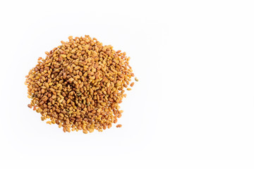 Medicago sativa - Organic Alfalfa Seeds