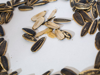 Closeup of black sunflower seeds isolated on white background.