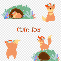 Cute fox set, sleeping in hole, rear view, boho