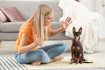 Angry young woman scolding her toy terrier dog at home