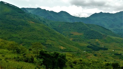 Fototapeta na wymiar Rice fields of Asia, Vietnam, Mountains, Landscape, paddy fields, agriculture