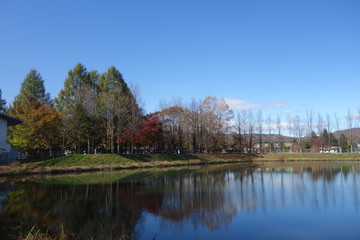 Fototapeta na wymiar 秋の軽井沢の矢ケ崎公園