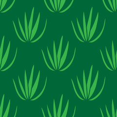 agave seamless doodle pattern, vector illustration