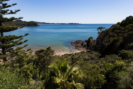 Midday view from bach looking down into Sandy Bay towards the north with Whananaki in distance. Calm day on usually big surf beach. Norfolk pine and native bush in foreground. Sunny kiwi summers day