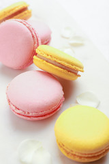 Different tasty macarons on white background