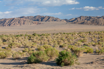 Gobi Desert Singing Sand Dunes