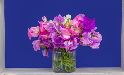 A bunch of sweet pea flowers framed blue background