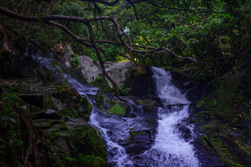 Sofia's Mountain Park, Waterfalls, Camarines Sur
