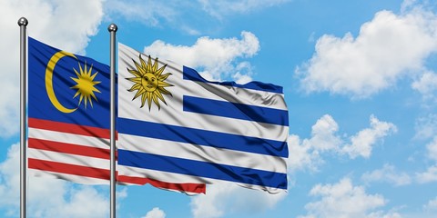Malaysia and Uruguay flag waving in the wind against white cloudy blue sky together. Diplomacy concept, international relations.