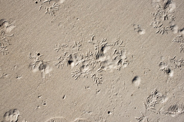 Sand skin that has characteristics