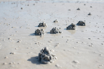 Sand skin that has characteristics