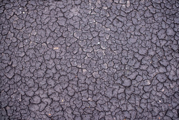 Ground crack caused by drought