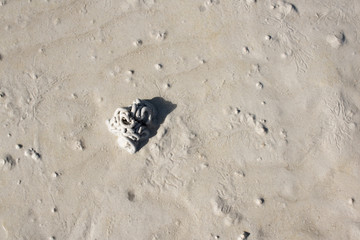 Sand skin that has characteristics