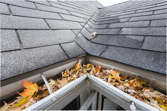 gutters are full of fall leaves and must be cleared