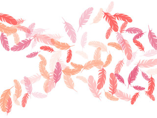 Detailed majestic feather on white design.