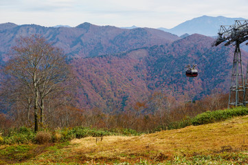 山麓と天神平を結ぶロープウェイ