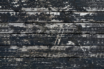 Obraz premium Old wood plank texture background. Moldy old wood. 