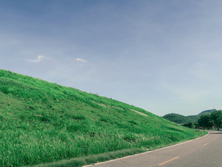 Beautiful green grass field and blue sky.