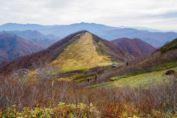 冬の準備が進む天神平スキー場