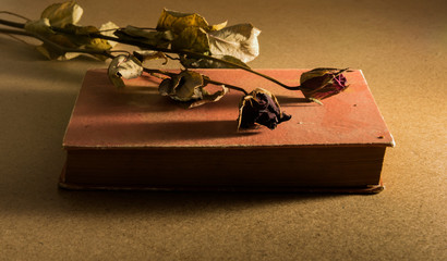 Dry 2 roses on aged book in the dark room.A rose is a woody perennial flowering plant of the genus Rosa, in the family Rosaceae, or the flower it bears. A book is a set of sheets of paper, parchment.