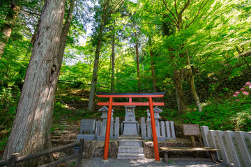 Onsenji Temple, Yunoshima, Gero City, Gifu, Japan