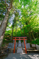 Fototapeta na wymiar Onsenji Temple, Yunoshima, Gero City, Gifu, Japan