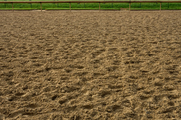 Looking Across Horse Track with Rail on Far Side