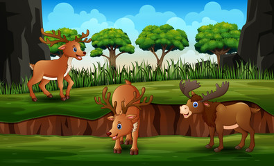 Cartoon reindeer with moose in the green nature