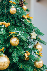 Christmas background. Green fir tree with golden balls. - 301052635