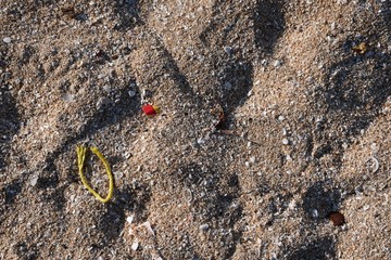 Choose yellow and red lay on the sandy beach