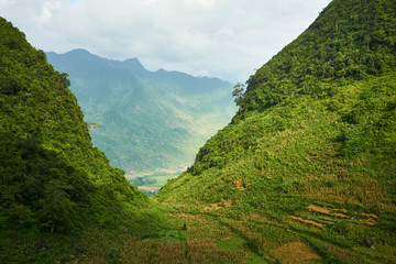 North Vietnam