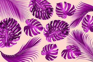 green monstera and palm leaves pattern are made violet for nature concept,tropical leaf isolated on pink background