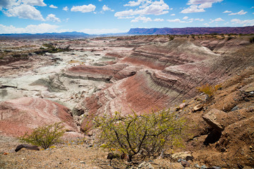 Stony landscape in Ischigualasto Provincial Park