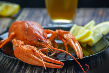 Fresh boiled crayfish. On a black plate with yellow lemon.