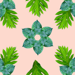 tropical exotic plant leaf,green leaves pattern are made new color for nature concept,abstract background for textile and fabric design,isolated on pink background