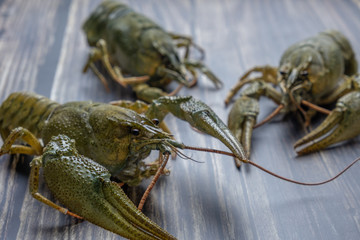 Green crayfish lies on the blackboard. Preparation for cooking.