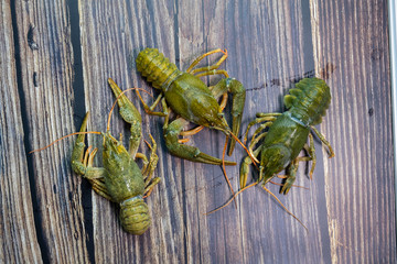 Green crayfish lies on the blackboard. Preparation for cooking.