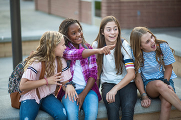 Candid photo of a group of teenage girls socializing, laughing and talking together at school. A...