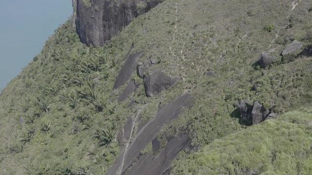 Pedra da G&aacute;vea