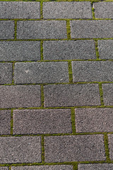 苔の生えた石畳