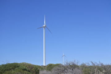Fototapeta premium Wind turbines in a wind farm