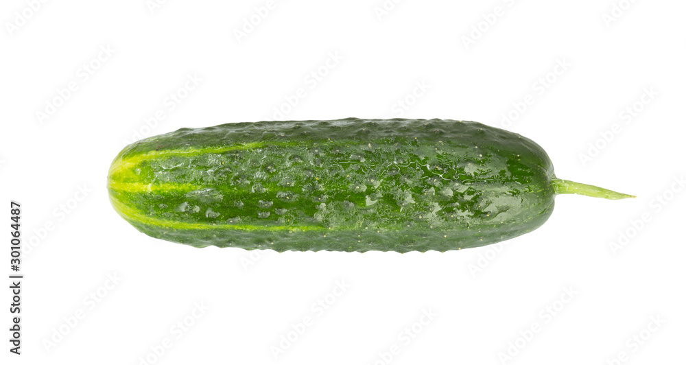 Wall mural green cucumbers on a white background