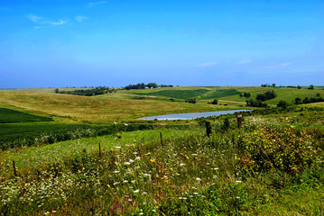 Typical Iowa countryside in late summer, with wildflowers at the edge of the road and gently...