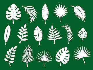 Fototapeta na wymiar Laser cutting template of tropical leaves, jungle branches. Exotic split foliage of palm isolated on green background. Vector silhouette of elements. Set for wood carving, paper cut, stamp for die cut