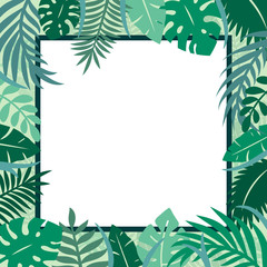 Template of invite card with tropical leaves plants, green jungle branches. Square frame with exotic foliage palm, greenery herb border. Place for text. Vector eco illustration isolated on background.