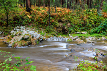 Río Eresma as it passes through Valsain, Segovia, Spain