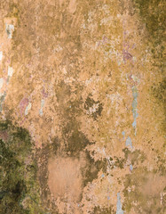 Colourful Wall Texture. Painted Distressed Wall Surface. Grungy Wide Brickwall. Grunge Red Stonewall Background. Shabby Building Facade With Damaged Plaster and green lichen. Copy Space.