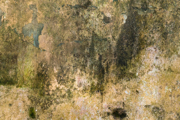 Old Wall Texture. Painted Distressed Wall Surface. Grungy Wide Brickwall. Grunge Red Stonewall Background. Shabby Building Facade With Damaged Plaster and green lichen. Copy Space.